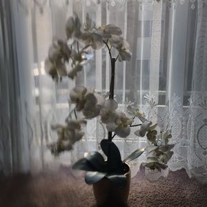 Meet your Posher, Arife